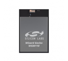 תמונה WGM110E1MV2.