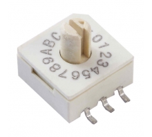 תמונה 221AMB16R.