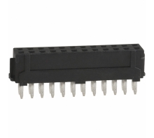תמונה DF11-24DS-2DSA.