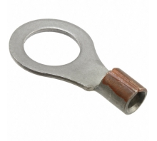 תמונה 323747.