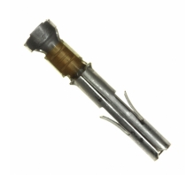 תמונה 350550-2.