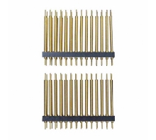 תמונה ACICE0204.