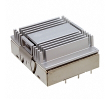 תמונה VYC30W-Q48-S12-H.