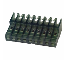 תמונה 3-640623-9.
