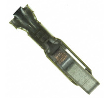 תמונה 350980-2.