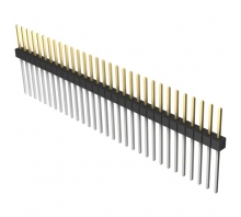 תמונה PBC31SFEN.