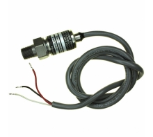 תמונה M3431-000006-500PG.