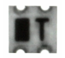 תמונה EHF-FD1548.