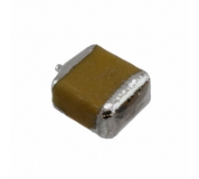 תמונה F950J157KBAAQ2.