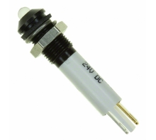 תמונה Q6P1BXXW24E.