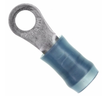 תמונה 50881.