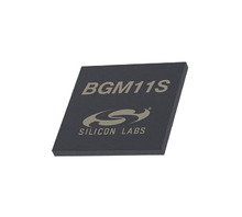 תמונה BGM11S22F256GA-V2.