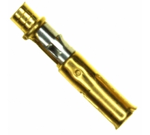 תמונה 51565-2.