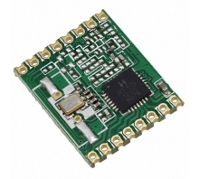 תמונה RFM65W-868S2.