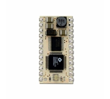 תמונה JS1-IC.