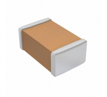 תמונה CL21A106MQCLNNC.