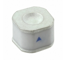 תמונה B88069X1673T602.