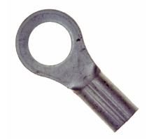 תמונה 320093.