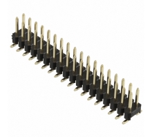 תמונה 61003621121.