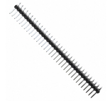 תמונה 0010897681.