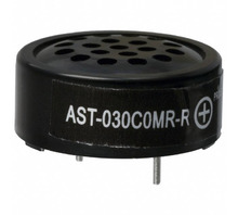 תמונה AST-030C0MR-R.