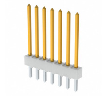 תמונה 0022102074.