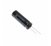 תמונה LIC1235RS3R8406.