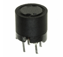 תמונה 12RS333C.