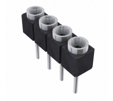 תמונה SS-104-TT-2-N.