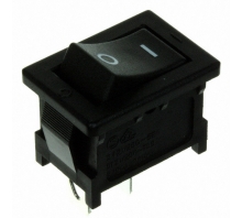 תמונה SFW101A03BB.
