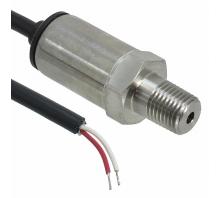 תמונה P51-3000-A-A-I12-20MA-000-000.