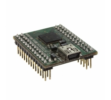 תמונה FT2232H MINI MODULE.