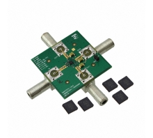 תמונה MAAM-007239-002SMB.
