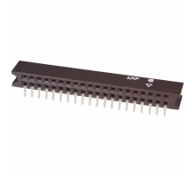 תמונה 5-532956-7.
