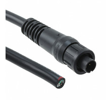 תמונה CAEN2C3M07990.